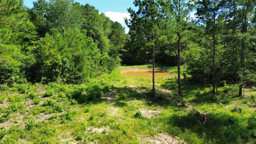 540 Piney Creek Estates Rd, Timpson, TX 75975 - #2