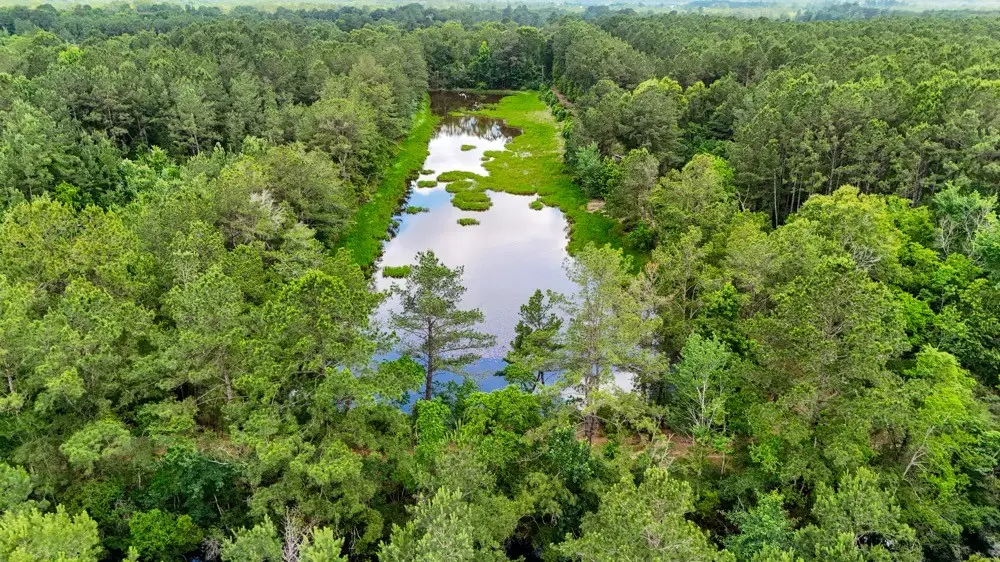 TBD Private Road 5170, Kirbyville, TX 75956 - #1