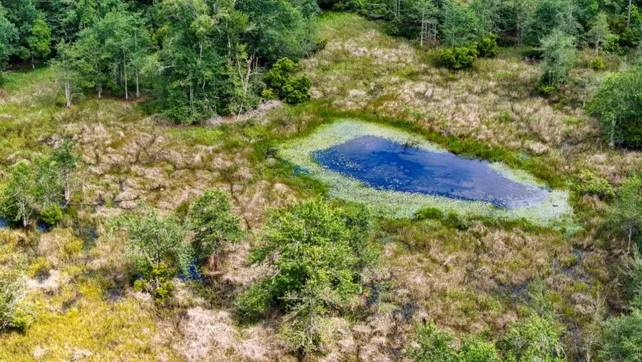 TBD Private Road 5170, Kirbyville, TX 75956 - #3