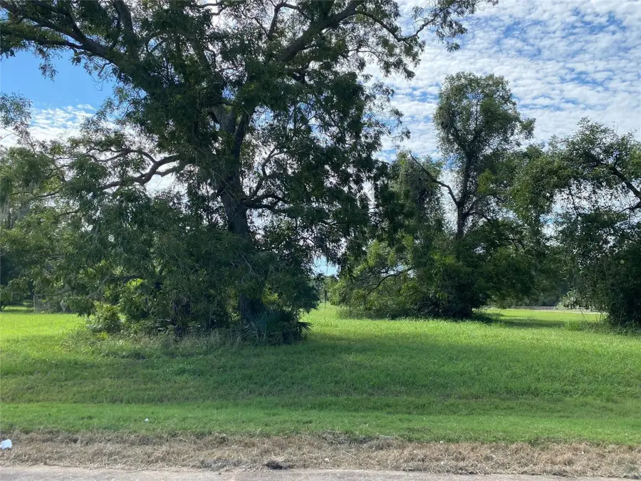 106 Horse Shoe Trail, Angleton, TX 77515 - #3