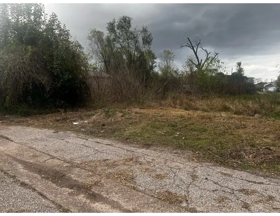 1814 Chase Street, Houston, TX 77026 - #2