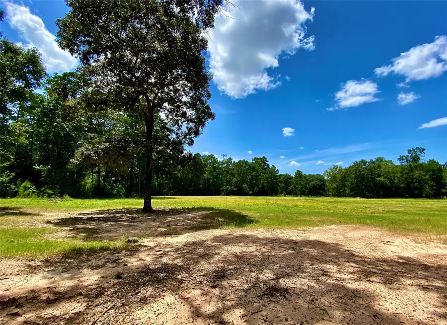 14109 Horseshoe Bend, Conroe, TX 77384 - Image #3