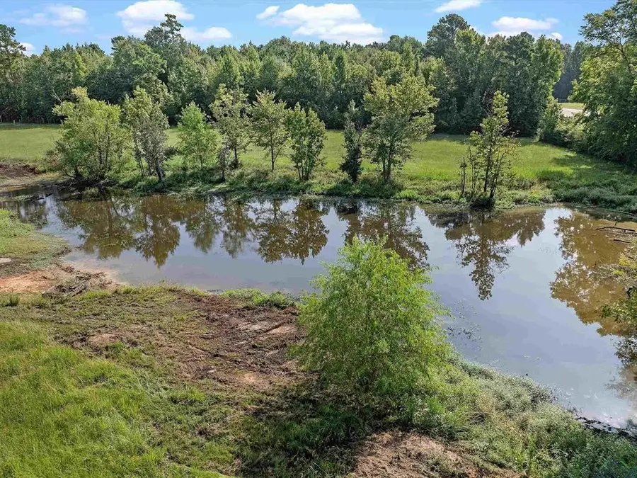 6006 St Hwy 315, Long Branch, TX 75669 - Image #2