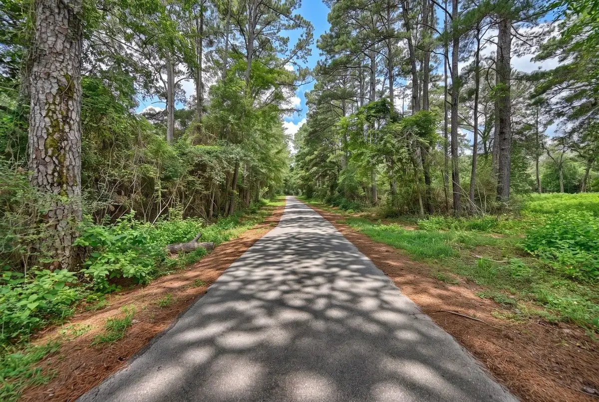 Lot One, 3340 County Road 325, Navasota, TX 77868 - #1