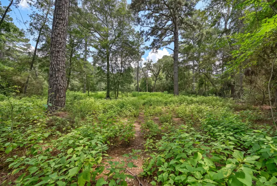 Lot One, 3340 County Road 325, Navasota, TX 77868 - #3