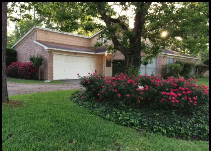 30202 E Geneva Drive, Spring, TX 77386 - #1