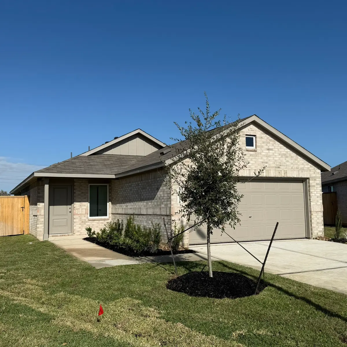 26934 Dalmatian Bellflower, Katy, TX 77493 - #1