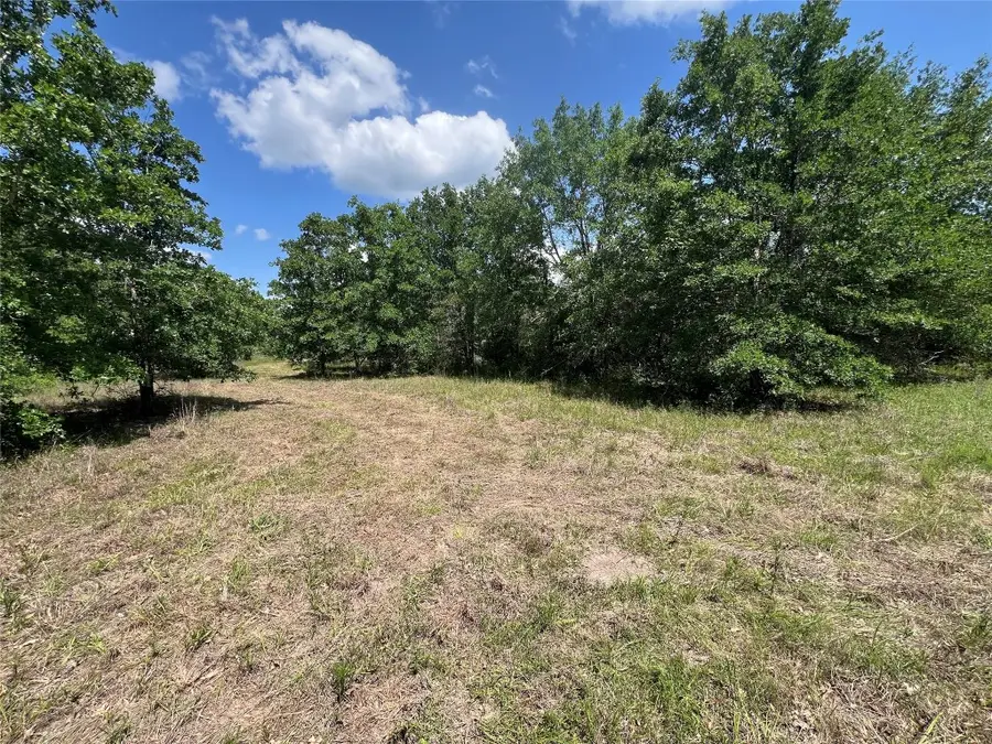 0010 Fm 2562 Road, Anderson, TX 77830 - #3