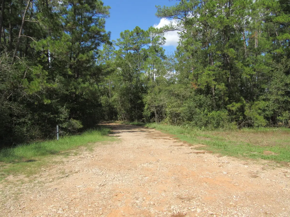 2223 Crysel Road, Cleveland, TX 77328 - #1
