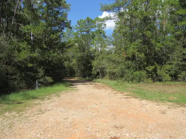 2223 Crysel Road, Cleveland, TX 77328