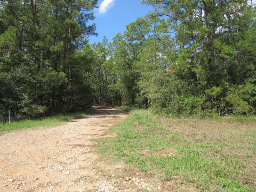 2223 Crysel Road, Cleveland, TX 77328 - #2