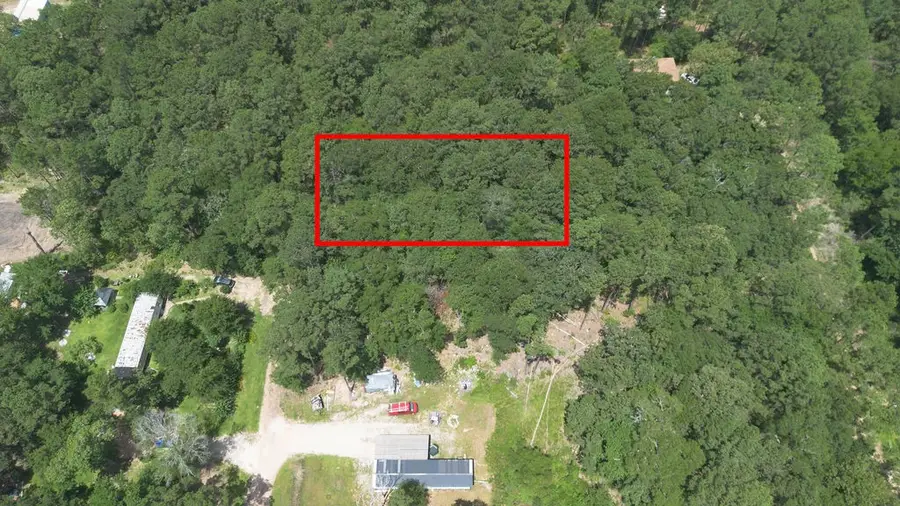 TBD Coral Bean Lane, Plantersville, TX 77363 - #2