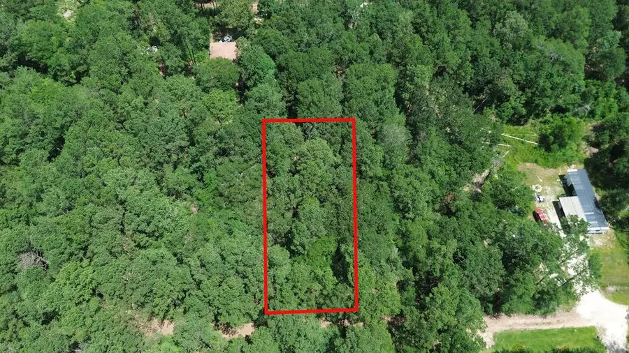 TBD Coral Bean Lane, Plantersville, TX 77363 - #3