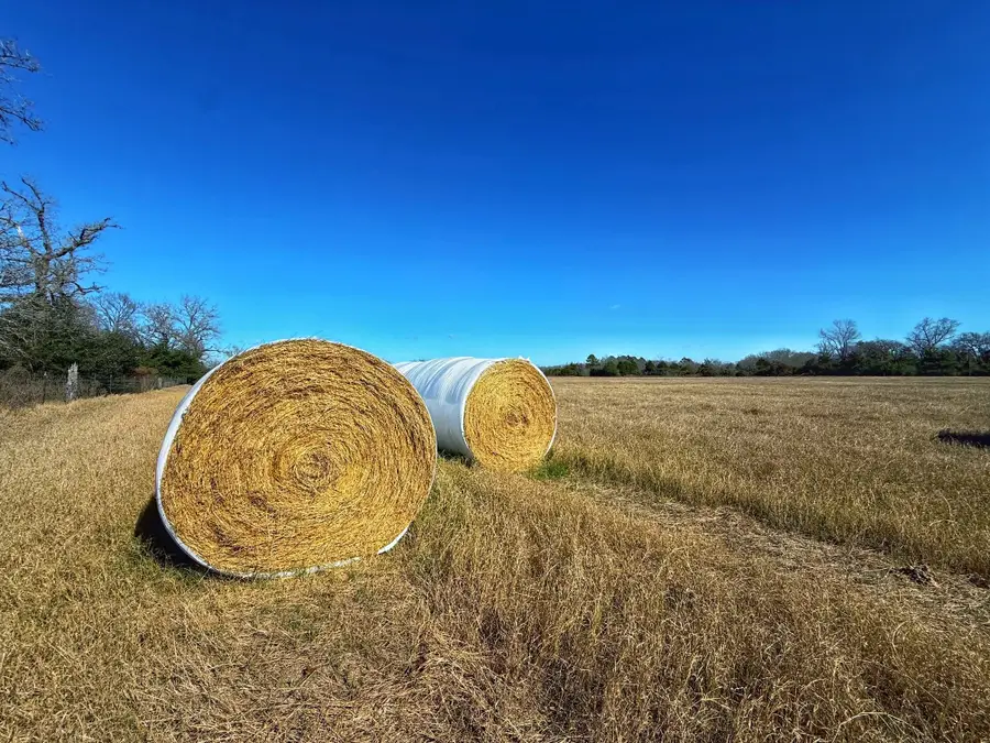 3763 Cr 490, Normangee, TX 77871 - #2