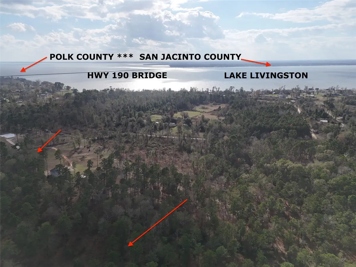 TBD Hanson Road, Onalaska, TX 77360 - Image #1