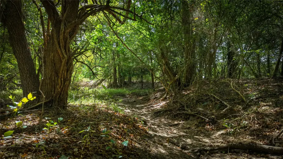 Tract 4 Tbd Mensik Rd, Bryan, TX 77808 - #2