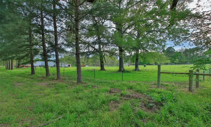 2735 Bobville Road, Montgomery, TX 77316 - #3