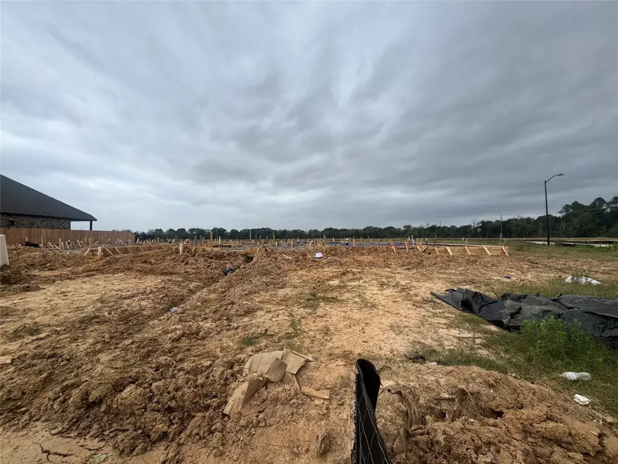 6119 Lake Chippewa Court, Katy, TX 77493 - Image #2