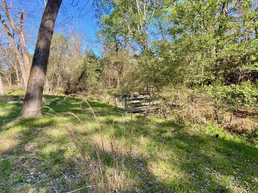 361 Beaver Run, Grapeland, TX 75844 - #3