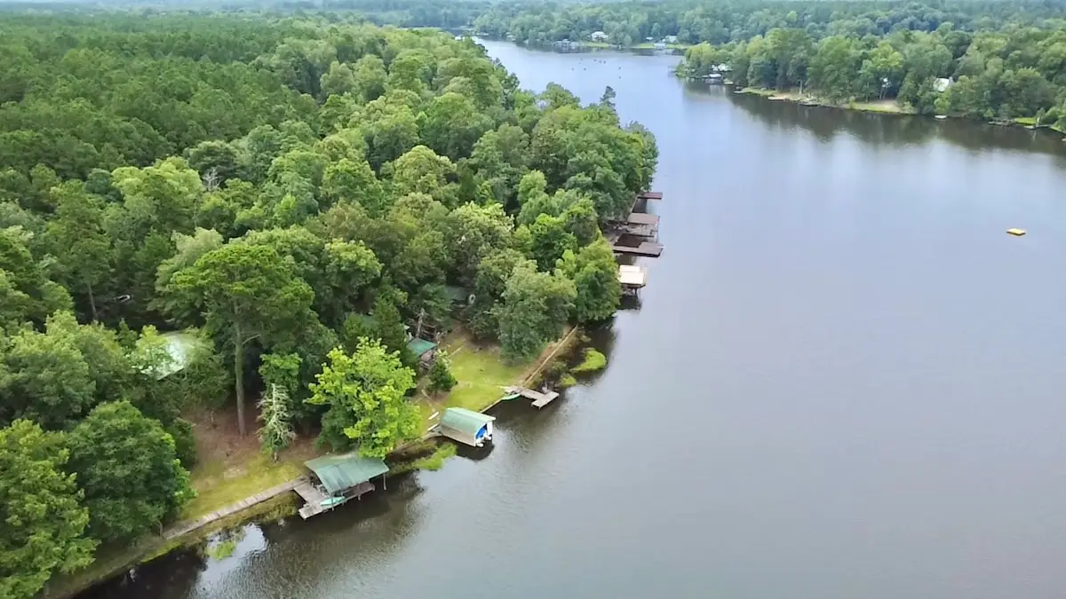 196 County Road 3218, Colmesneil, TX 75938 - #1