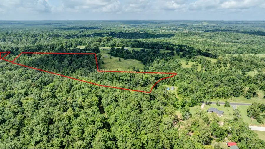 55 Paradise Drive, Coldspring, TX 77331 - #3