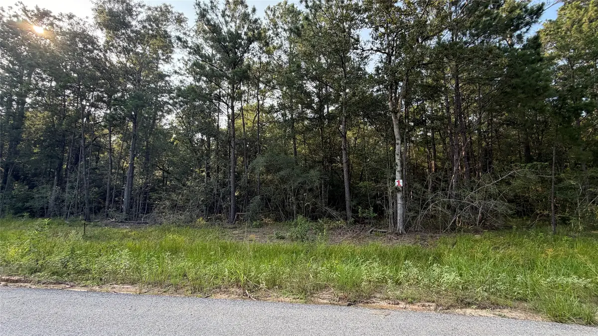 202 Cr 6311, Dayton, TX 77535 - #1