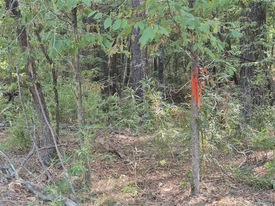 TBD-59 Shadowood Lane, Coldspring, TX 77331 - #3