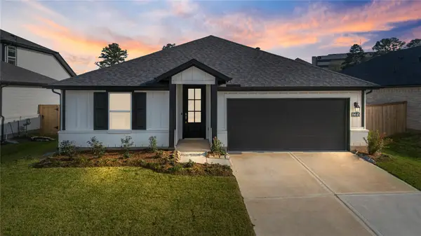 19645 Montgomery Ridge Way, Montgomery, TX 77316