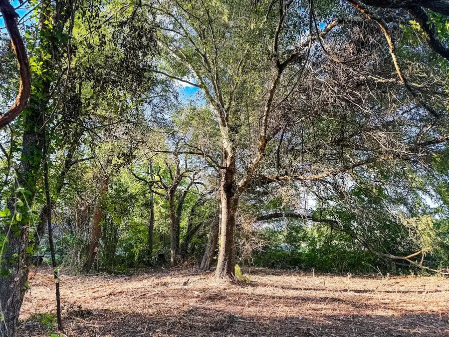 TBD E Loop 255, Teague, TX 75860 - Image #3