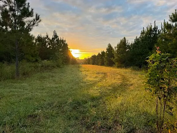 00 Midway Loop, Livingston, TX 77351