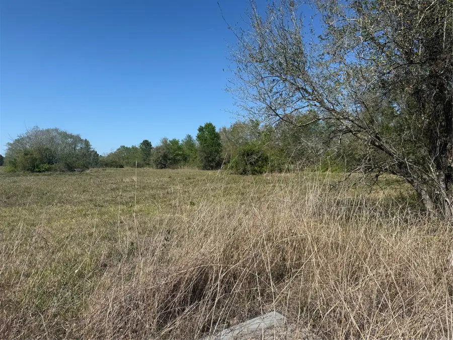 12217 Fm 1462, Alvin, TX 77511 - #2