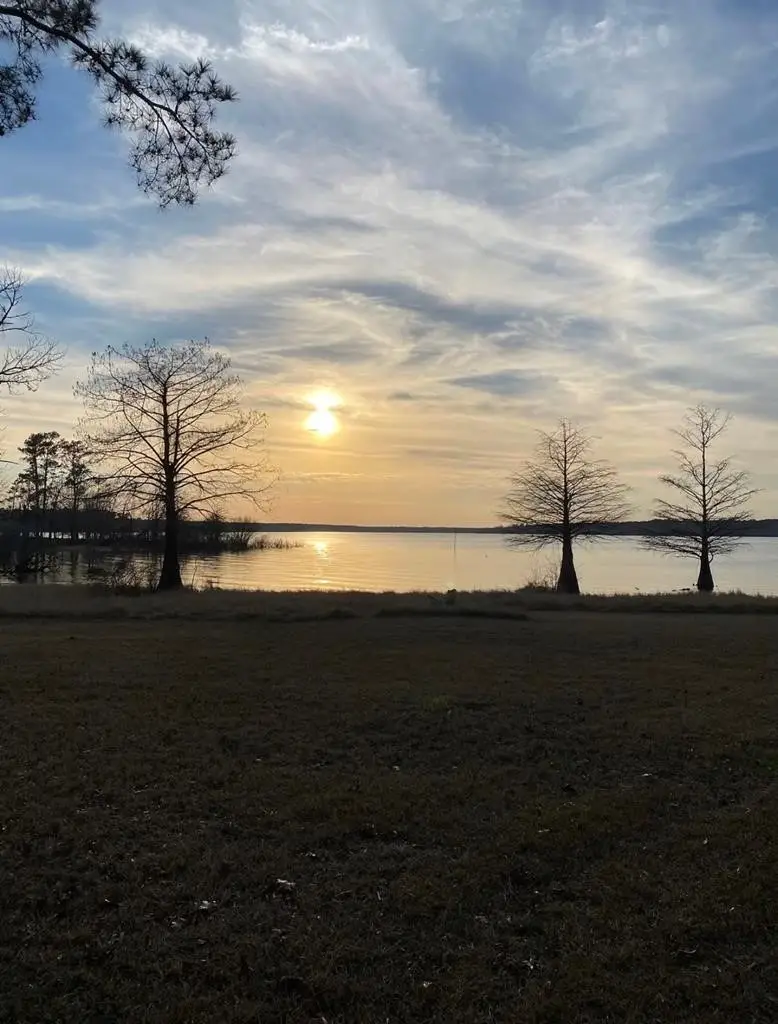 190 Joan Street, Zavalla, TX 75980 - #1