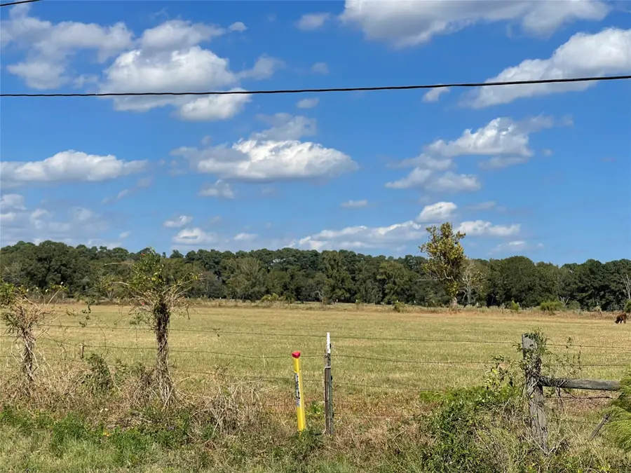 TBT 35.266 ACRES Fm 2854, Montgomery, TX 77356 - Image #3