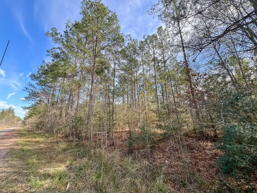 T2 Zavalla Road, Mauriceville, TX 77626 - #3