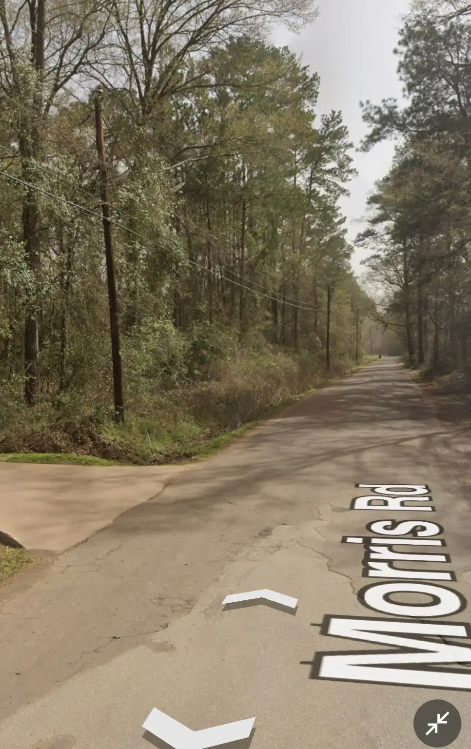 TBD Morris Rd, Diboll, TX 75941 - Image #1