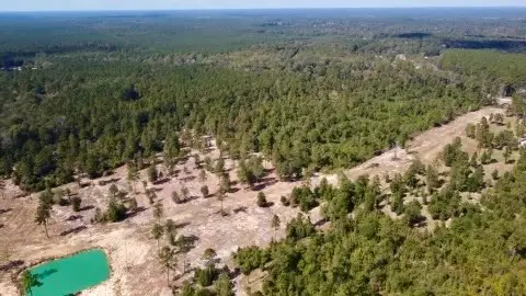 17224 Fm 943, Livingston, TX 77351 - #3