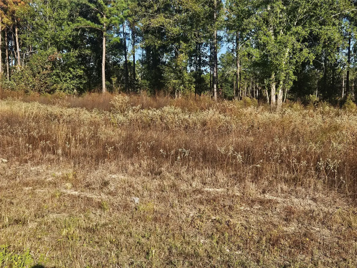 8030 Road 5891, Cleveland, TX 77327 - Image #1