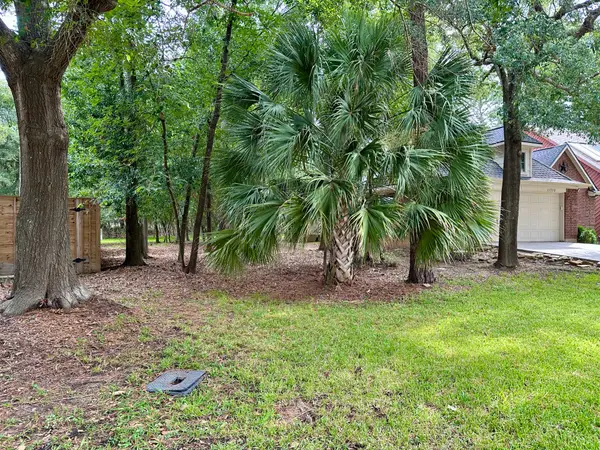 11534 Twain Drive, Montgomery, TX 77356