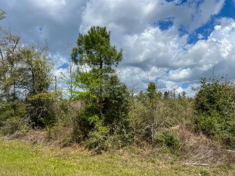 1 Fm 2827, Warren, TX 77664 - #3