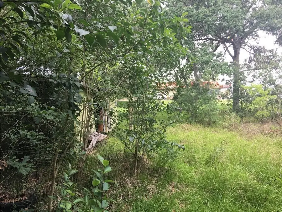 908 S Columbia Drive, West Columbia, TX 77486 - #2