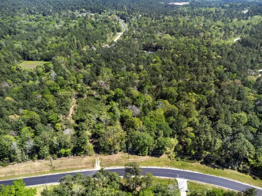 2A Sundog Road, Huntsville, TX 77340 - #3