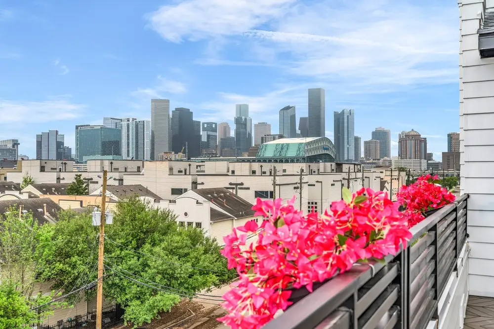 3 N St Charles St F Street, Houston, TX 77003 - #1