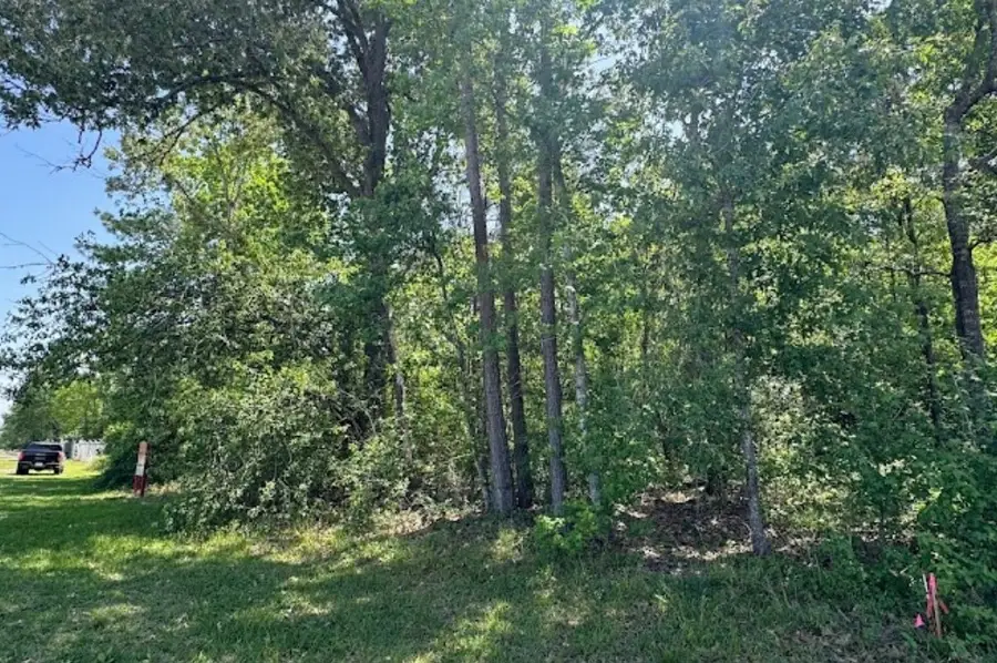 TBD Foley Road, Crosby, TX 77532 - #3