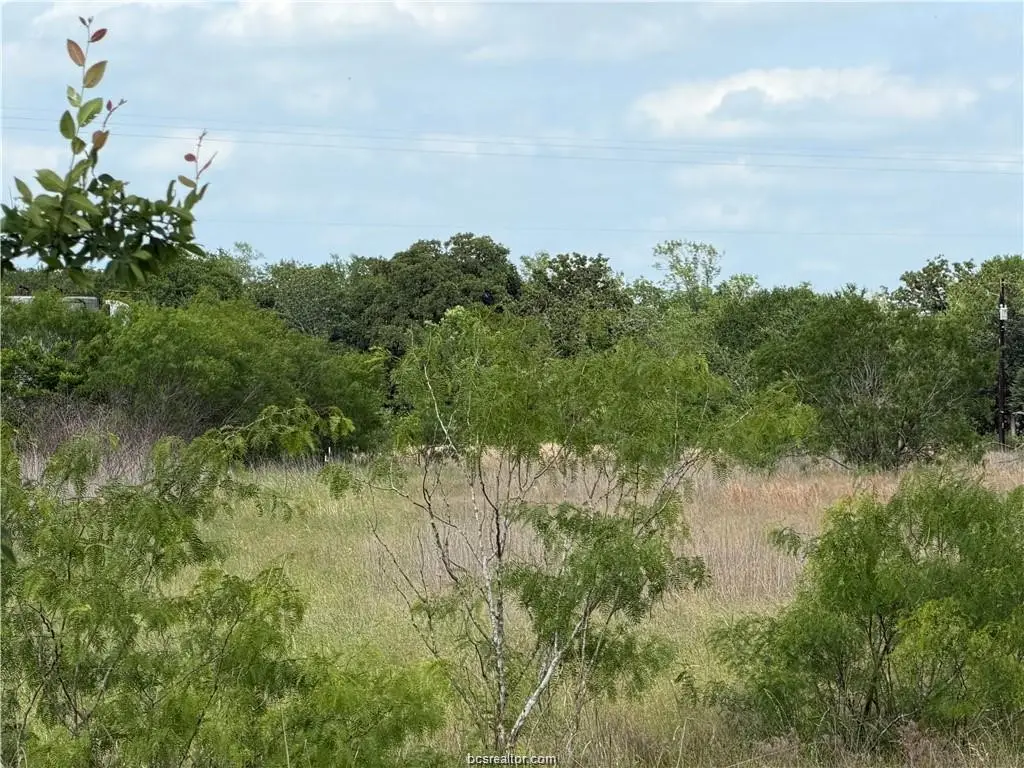 TBD Tonkaway Lake Pvt Road, College Station, TX 77845 - #1