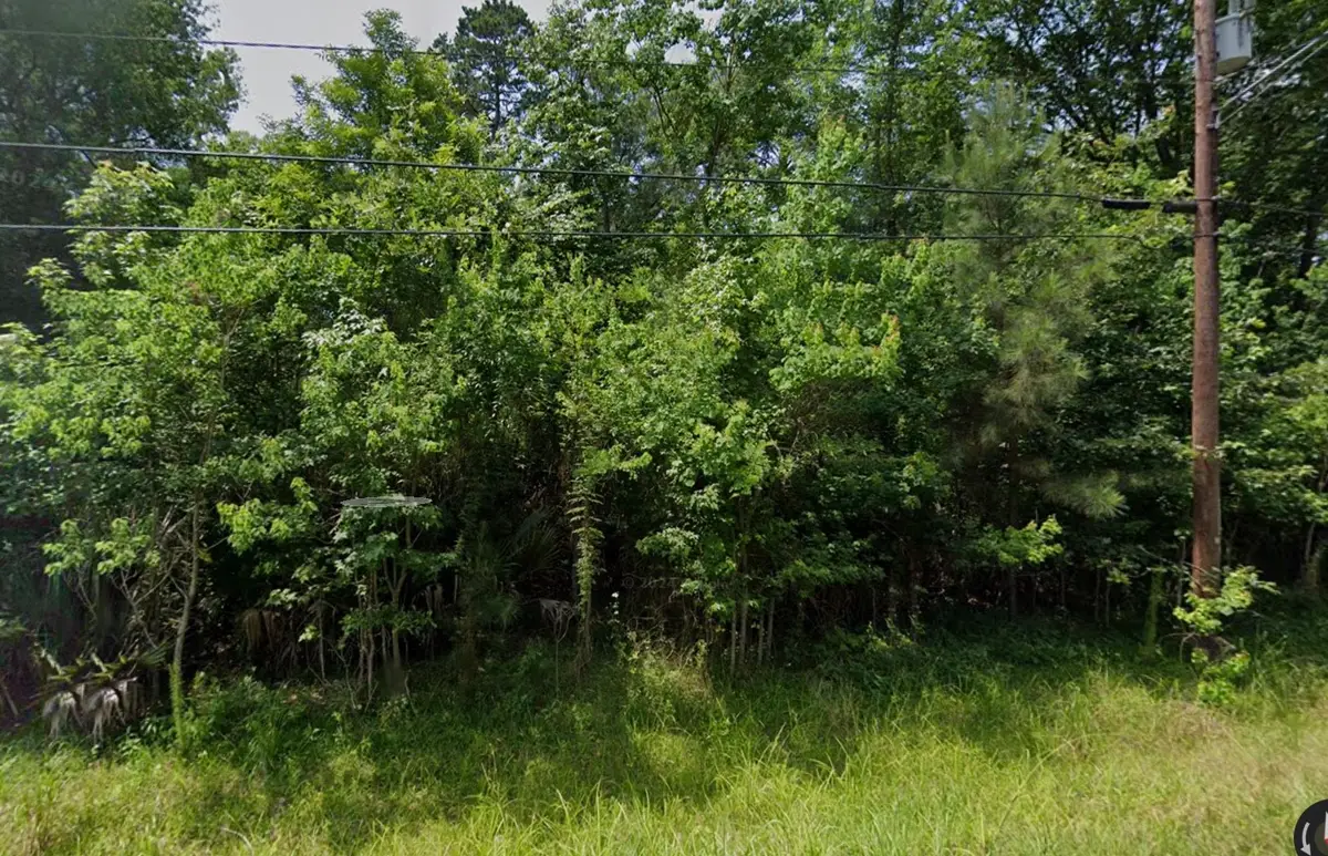 TBD White Oak Drive, Huffman, TX 77336 - #1
