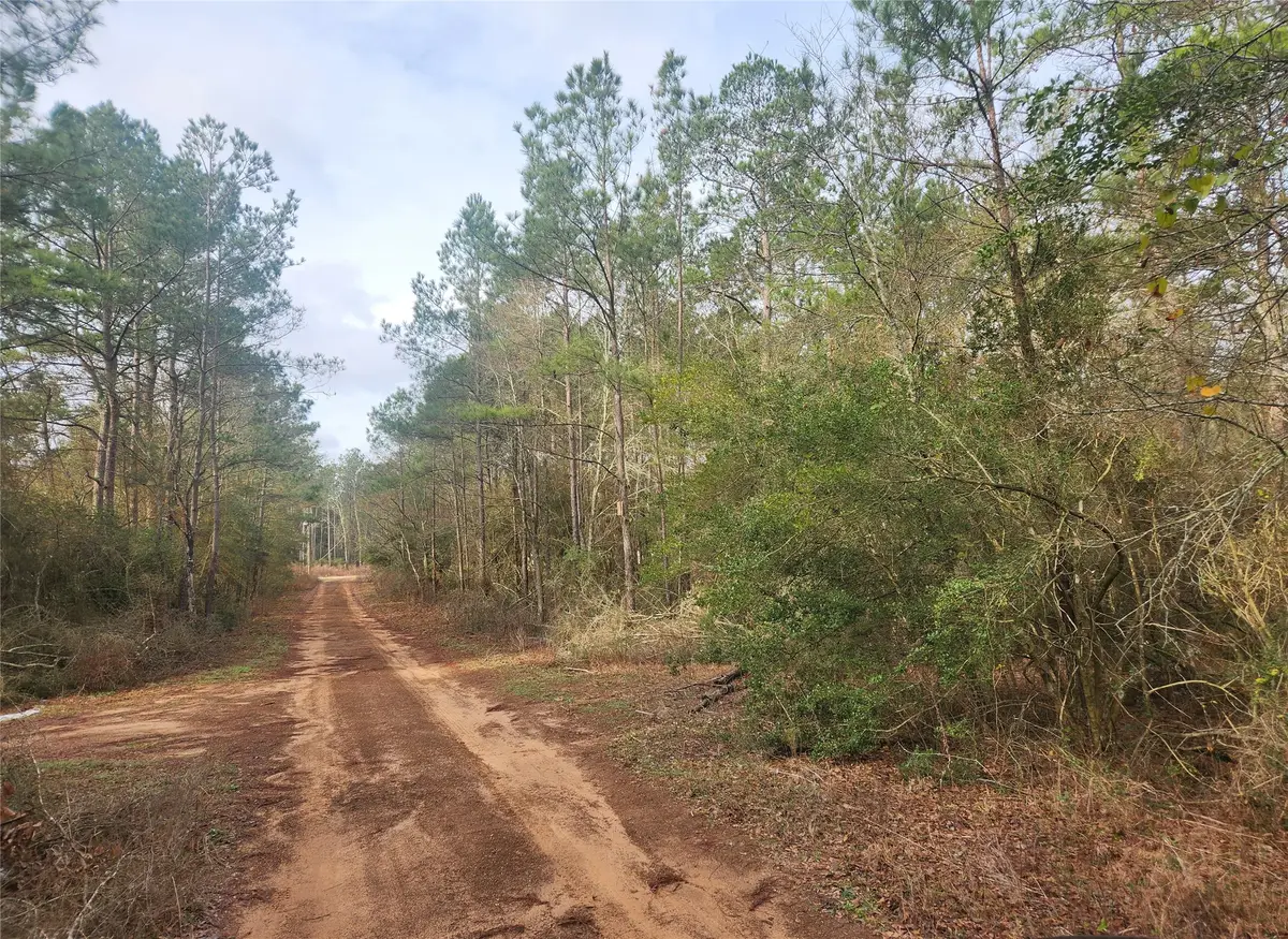 Lot 5 Pin Oak Drive, Plantersville, TX 77363 - #1