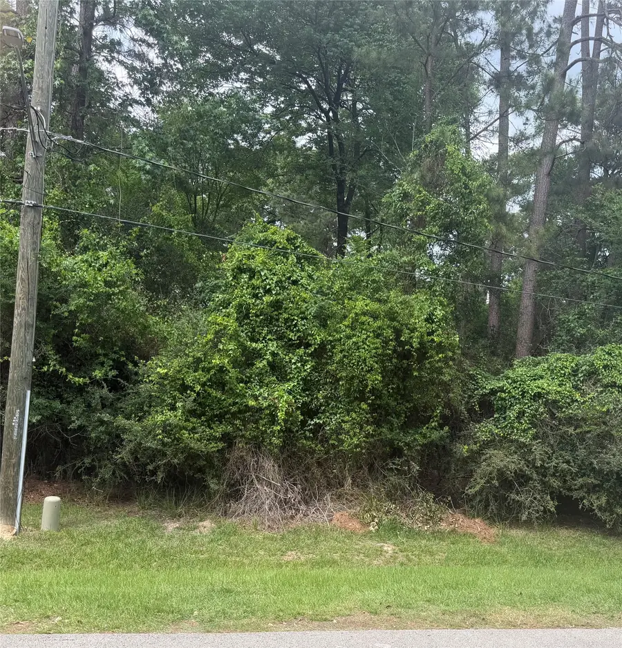 L34 Grant Drive, Magnolia, TX 77354 - #3