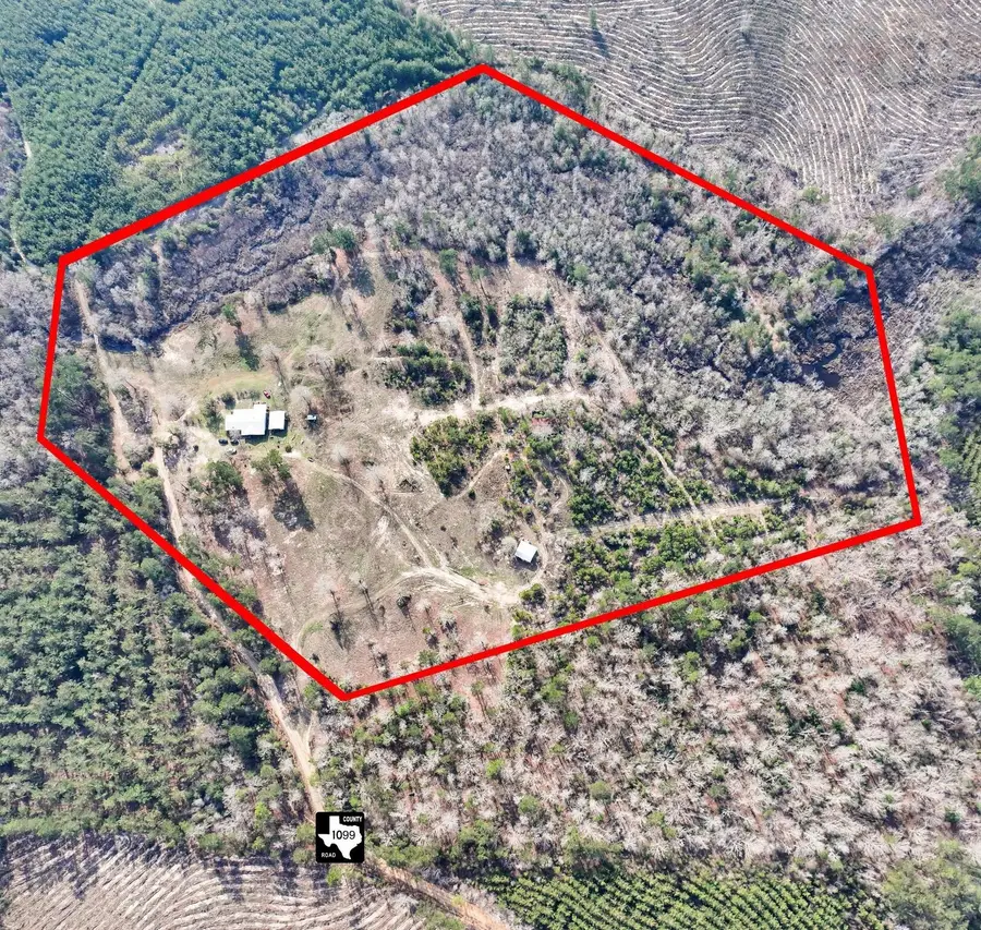 1202 County Road 1099, Wiergate, TX 75977 - #2