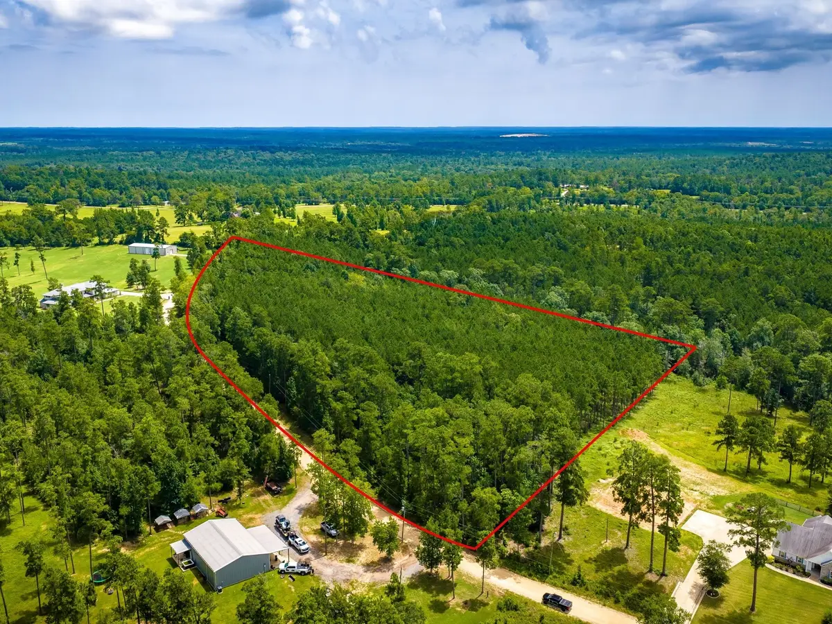 TBD Cm Hardy, Livingston, TX 77351 - #1