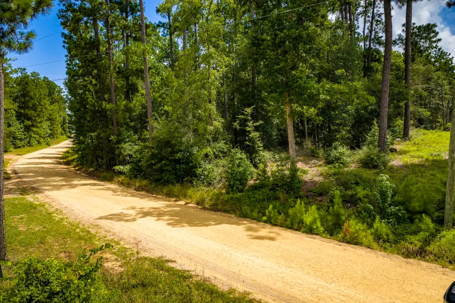 TBD Cm Hardy, Livingston, TX 77351 - #2